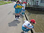 Img_1541