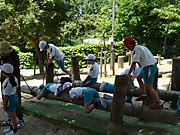 P1060993