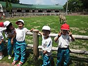 Img_0356_3
