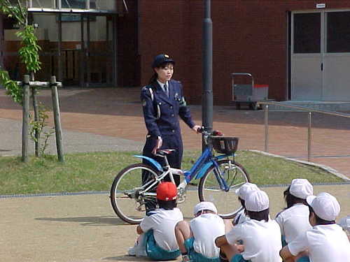 Mvc019s