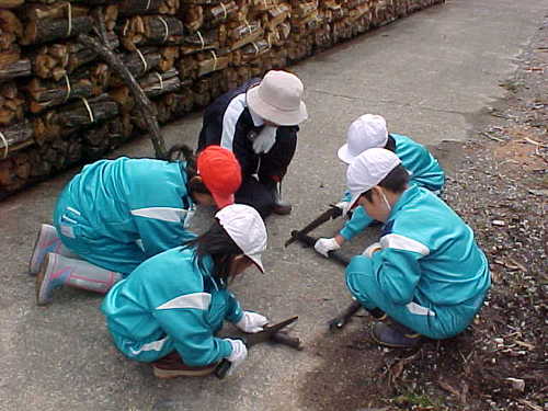 Mvc033s