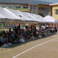 Mvc016s