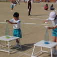 Mvc018s