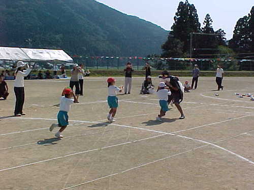 Mvc001s