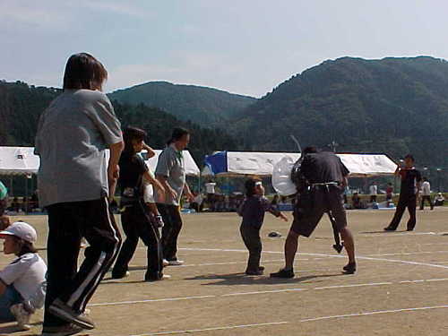 Mvc002s