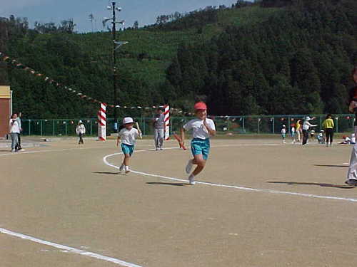 Mvc003s