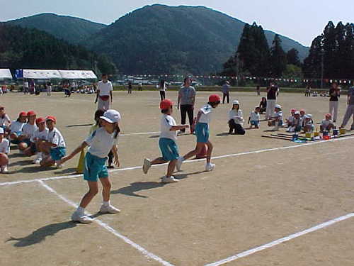 Mvc006s
