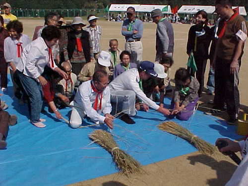 Mvc008s