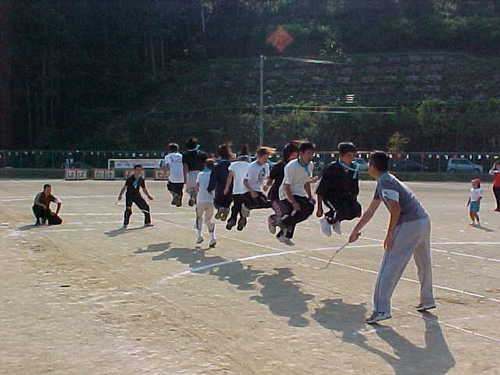 Mvc022s