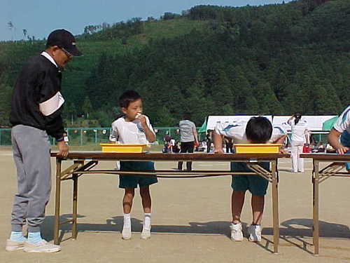 Mvc024s