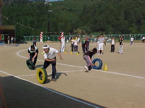 Mvc033s