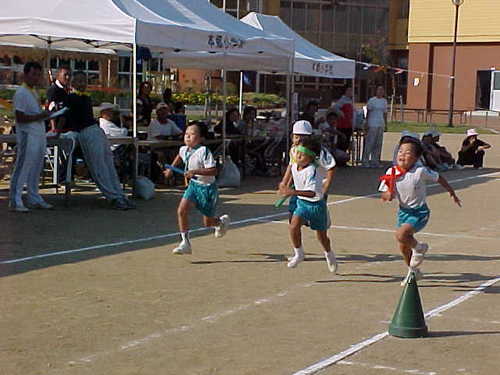 Mvc037s