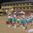 Mvc016s