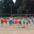 Mvc024s
