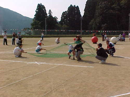 Mvc003s