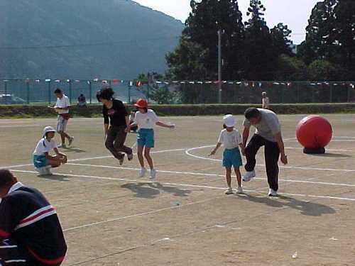Mvc004s