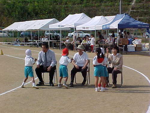 Mvc008s