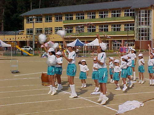 Mvc016s