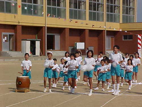 Mvc018s