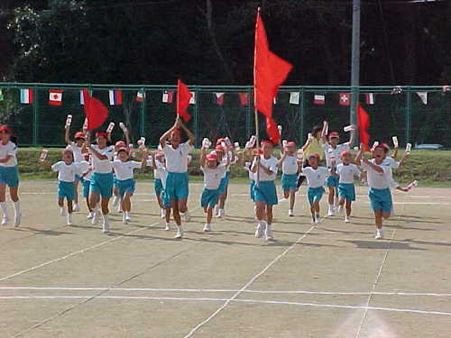 Mvc019s