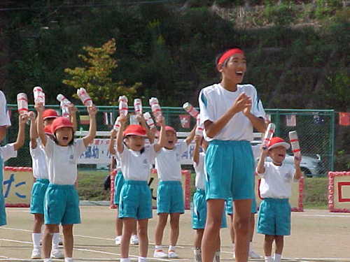 Mvc021s