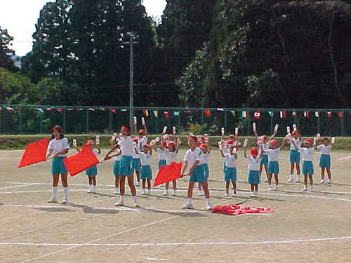 Mvc024s