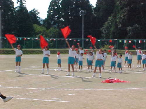 Mvc025s
