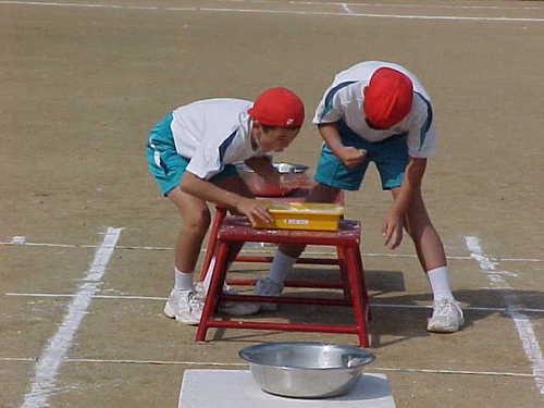 Mvc031s