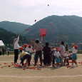 Mvc003s