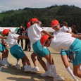 Mvc028s