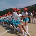 Mvc029s