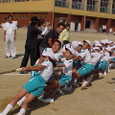 Mvc030s