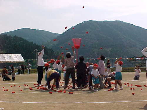 Mvc003s