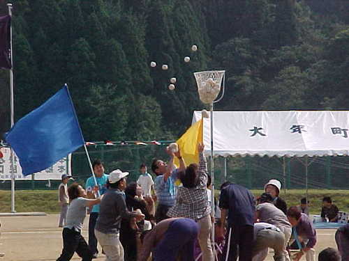 Mvc013s