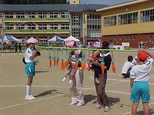 Mvc023s