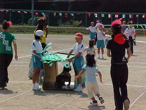 Mvc025s