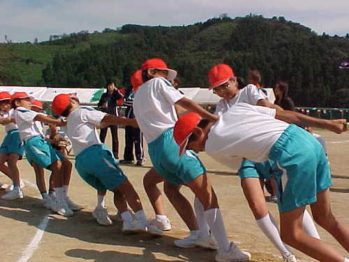 Mvc028s
