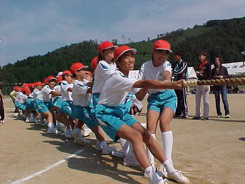 Mvc029s