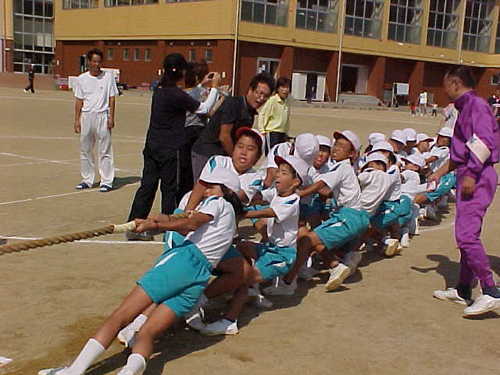 Mvc030s