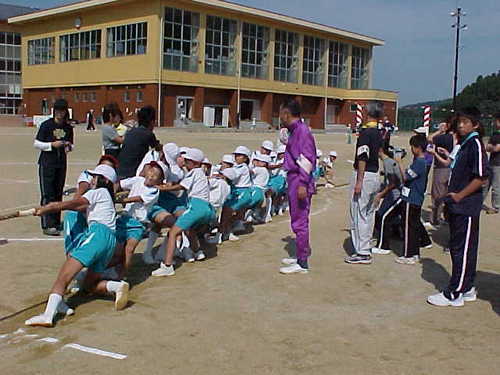 Mvc031s