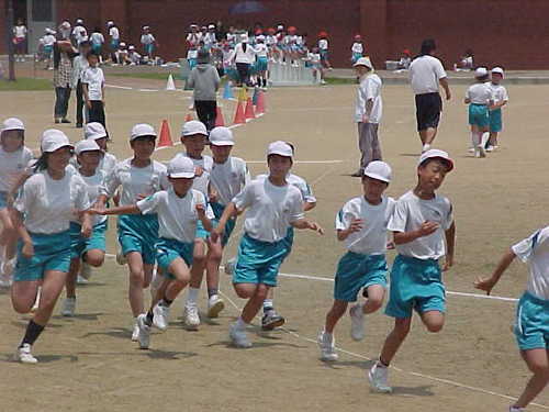 Mvc004s