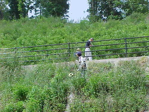 Mvc034s