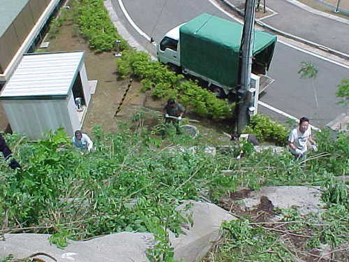 Mvc037s