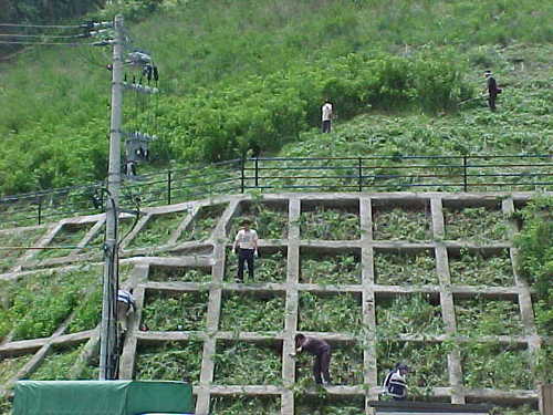 Mvc039s