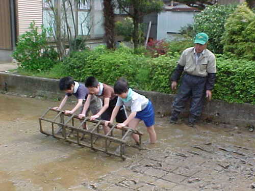 Mvc002s
