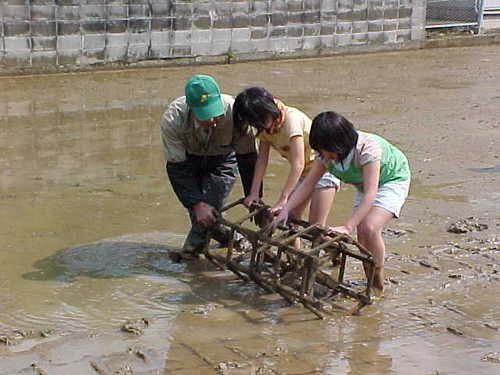 Mvc006s