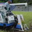 Mvc010s