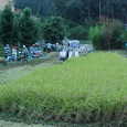 Mvc011s