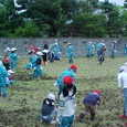 Mvc014s