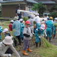 Mvc019s